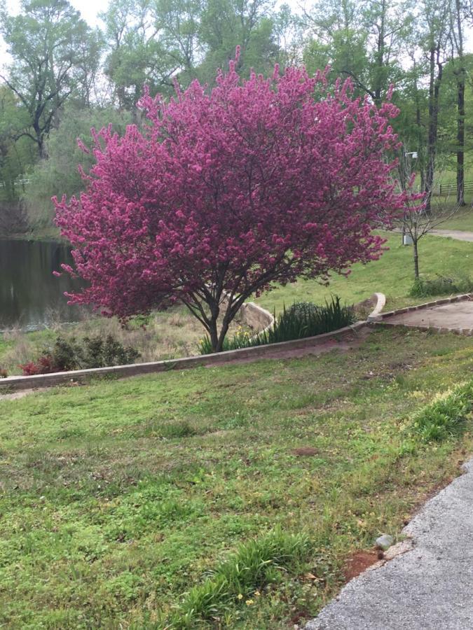 Dogwood Springs Lodgings Mineola Buitenkant foto