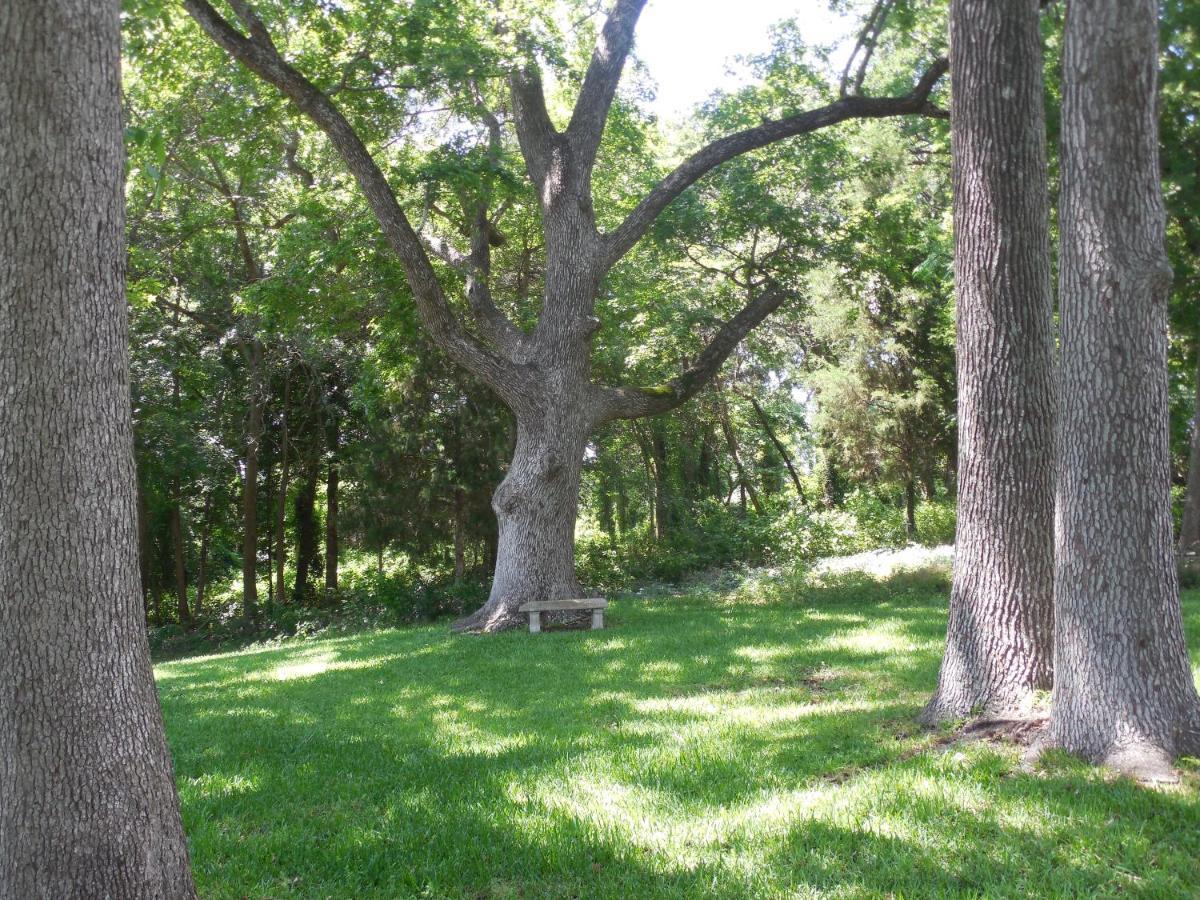 Dogwood Springs Lodgings Mineola Buitenkant foto